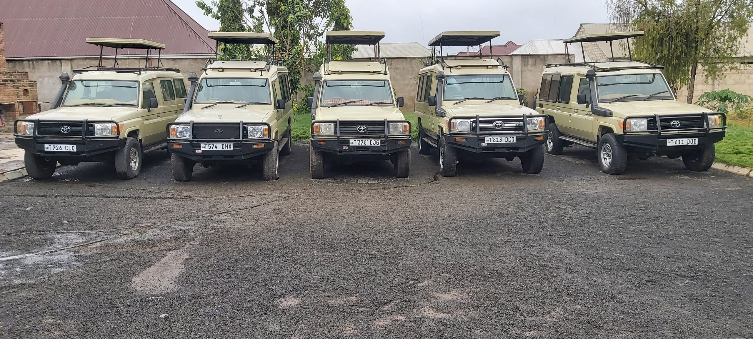 Safari jeeps