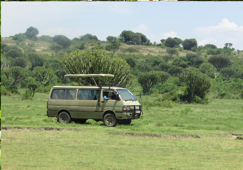 Toyota super custom with pop roof in Ugandan National park