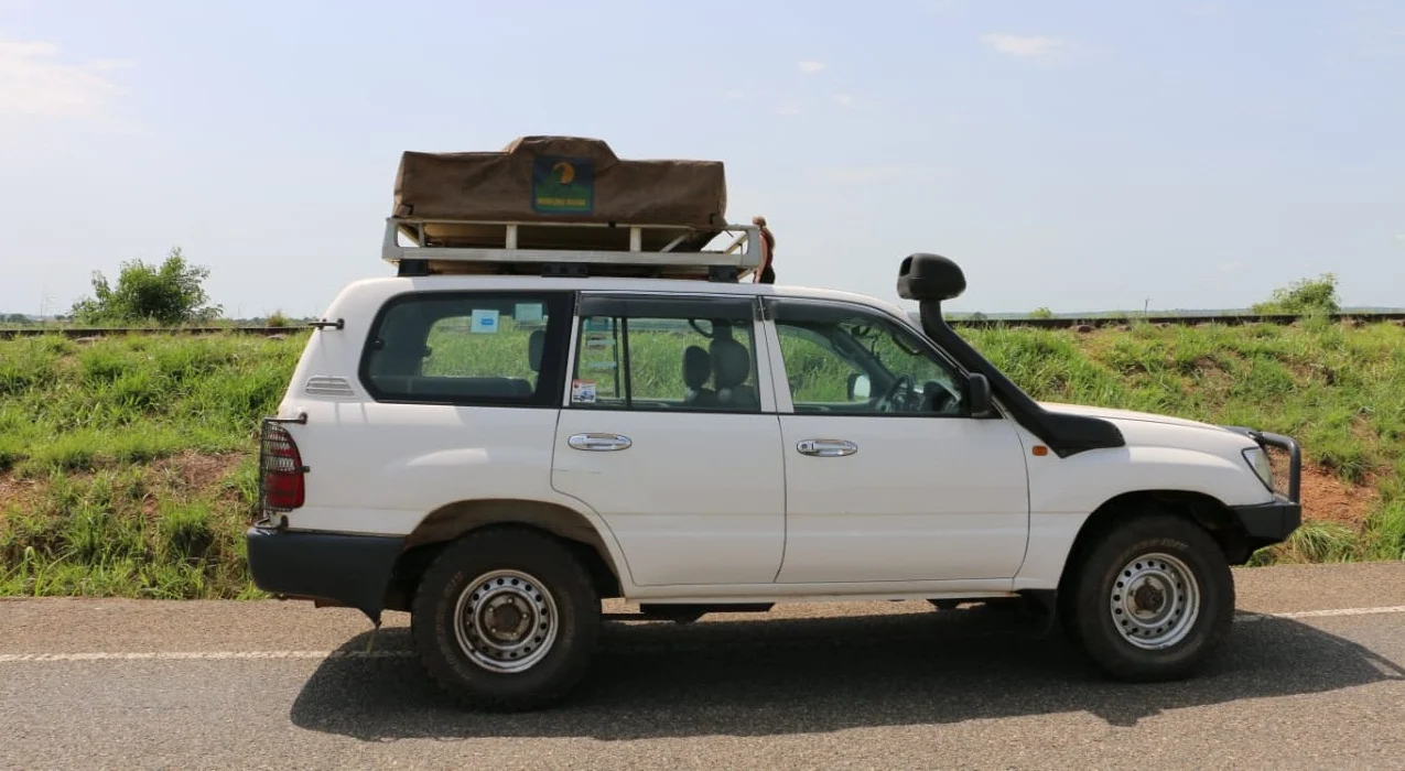 Catalog Image